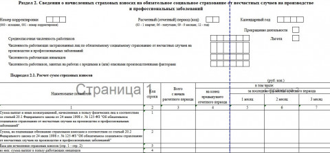 Раздел 2 ЕФС-1 вместо 4-ФСС с отчетности за 2 квартал 2024