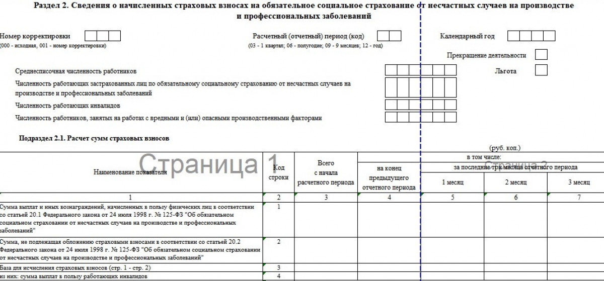 Раздел 2 формы ЕФС-1